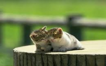 Cứ đi đi rồi sẽ đến